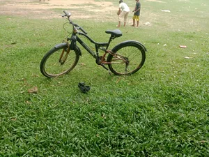 By Cycle DHHG
