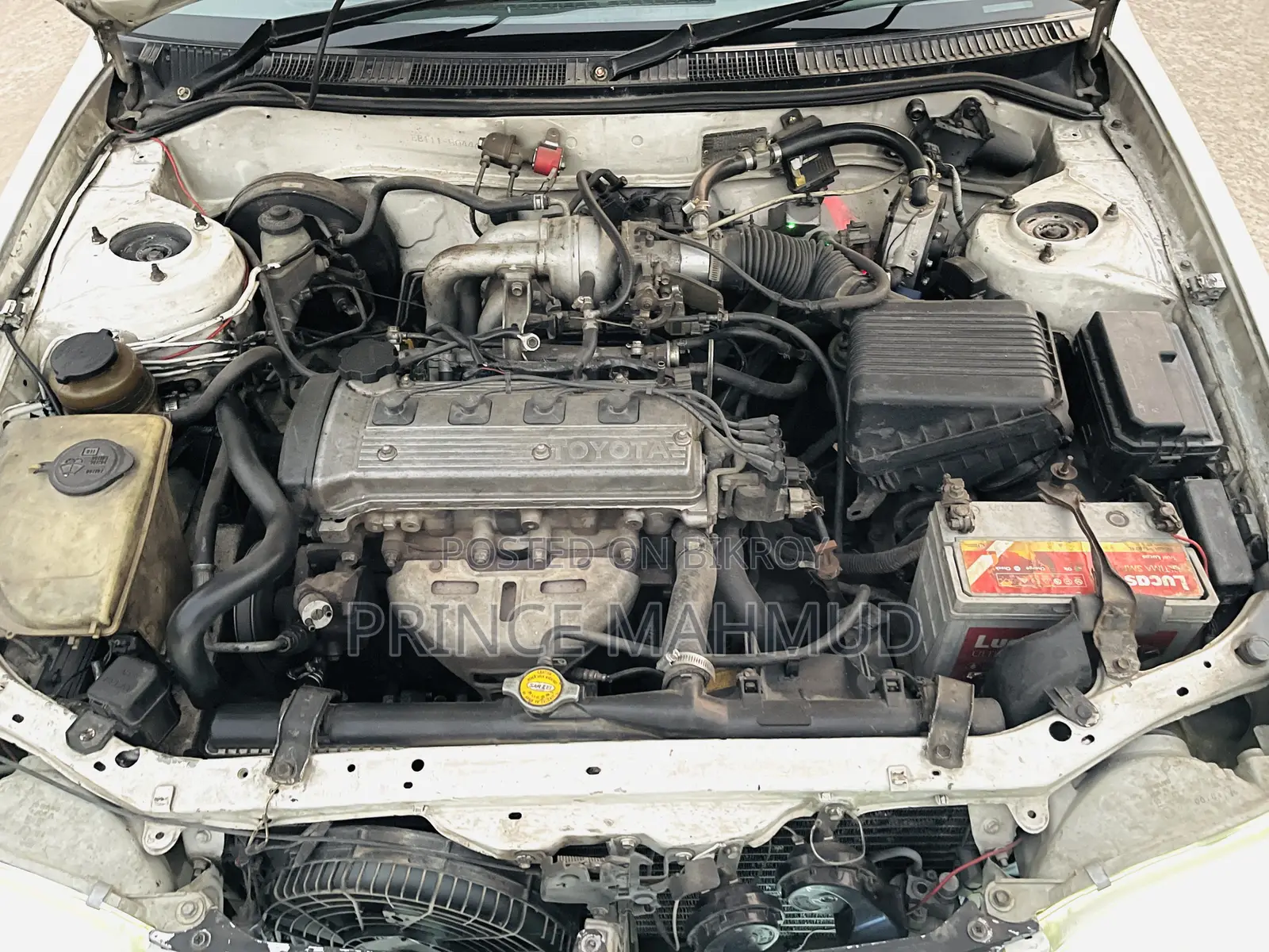 Toyota Corolla Sedan 1998 Pearl