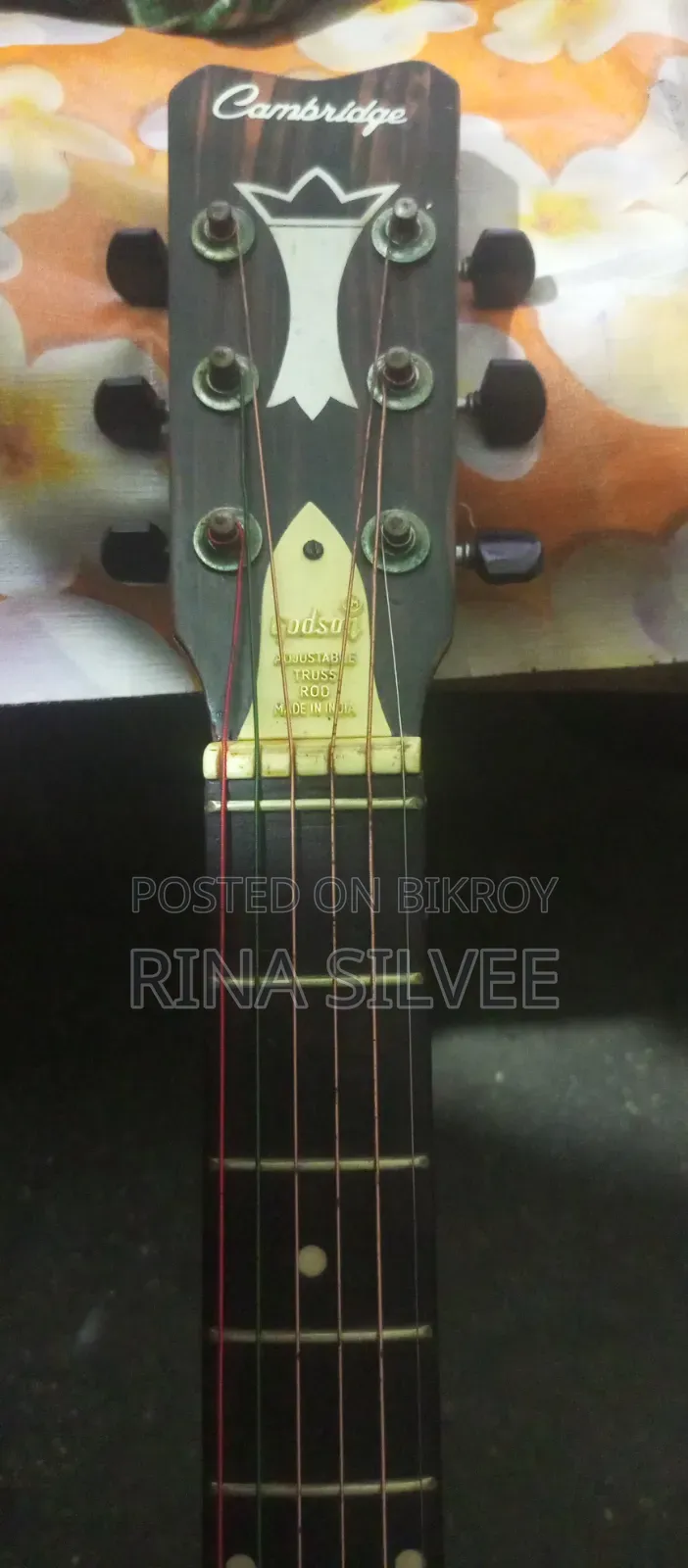 Gibson Guitar