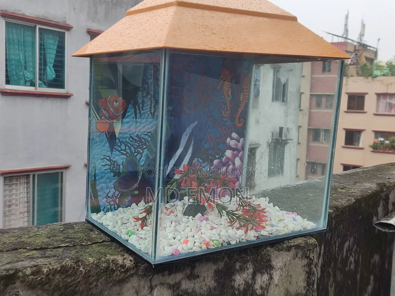 8-12 Inch Aquarium.