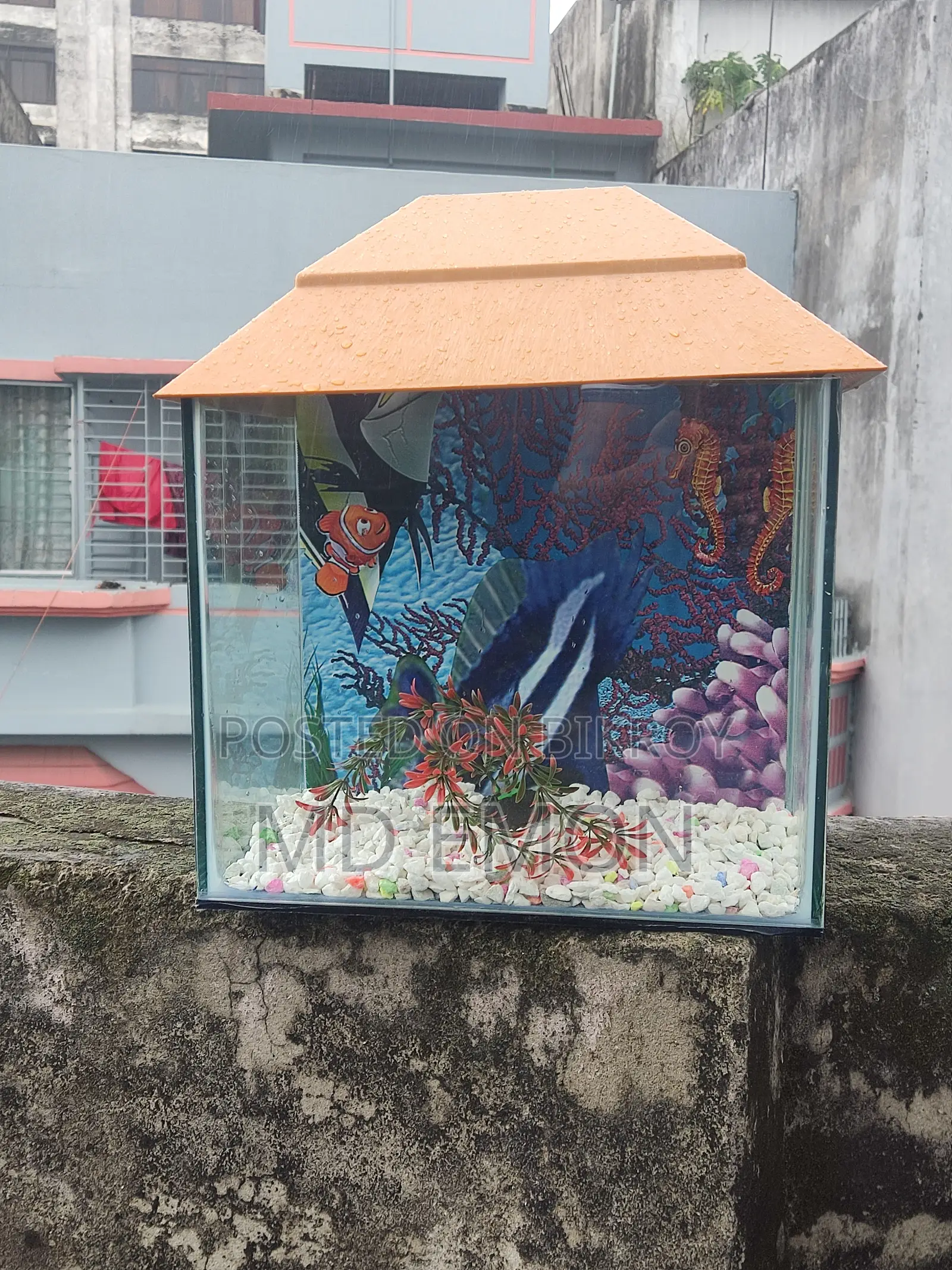 8-12 Inch Aquarium.