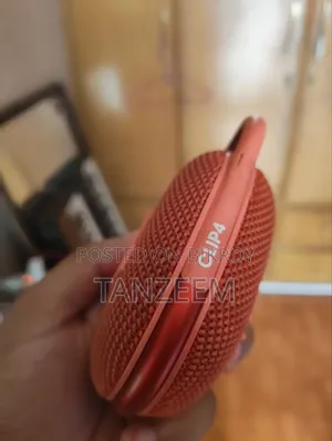 জেবিএল ক্লিপ ৪