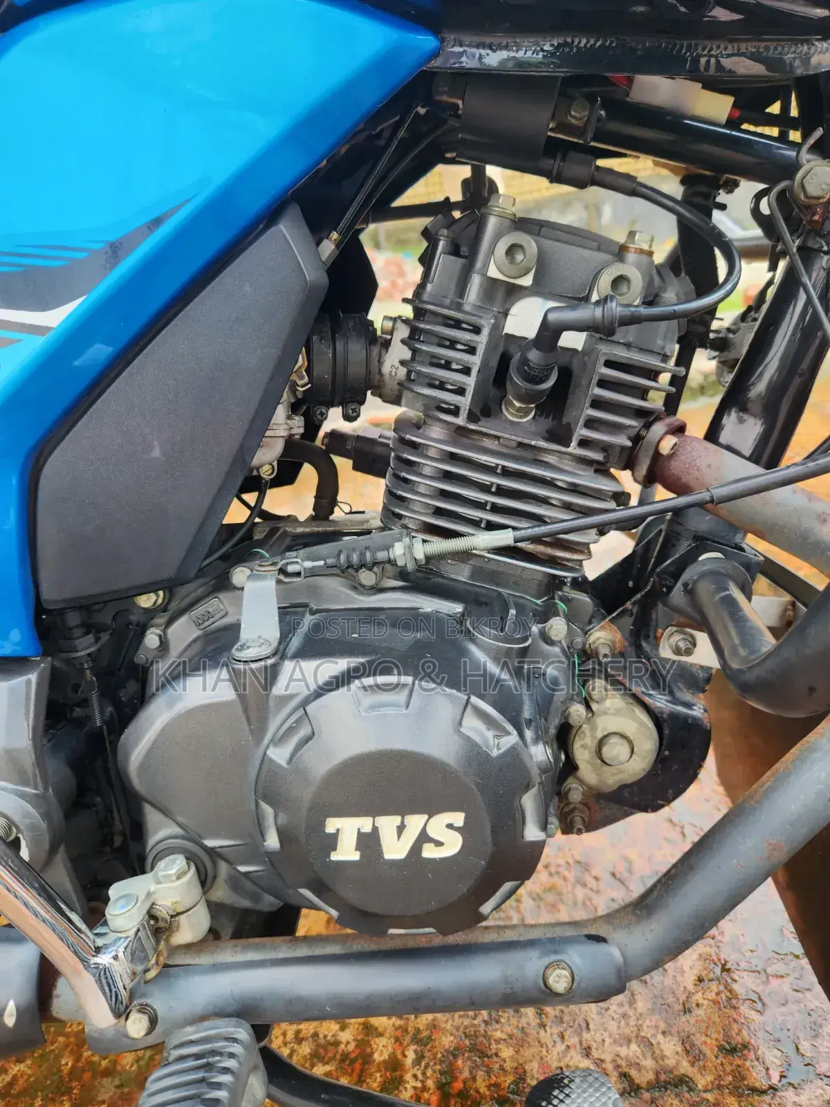 TVS Max 125 2022 Blue