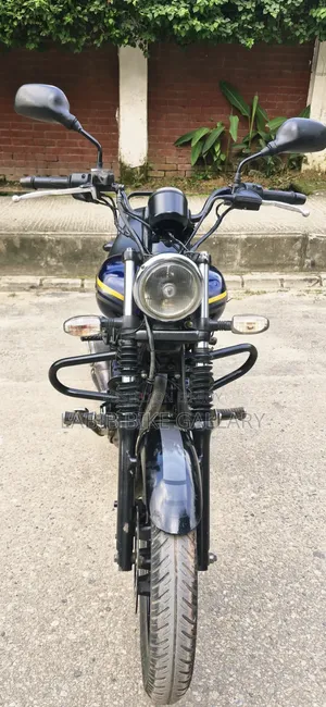 বাজাজ অ্যাভেঞ্জার ১৫০ স্ট্রিট ২০১৭ পার্পল
