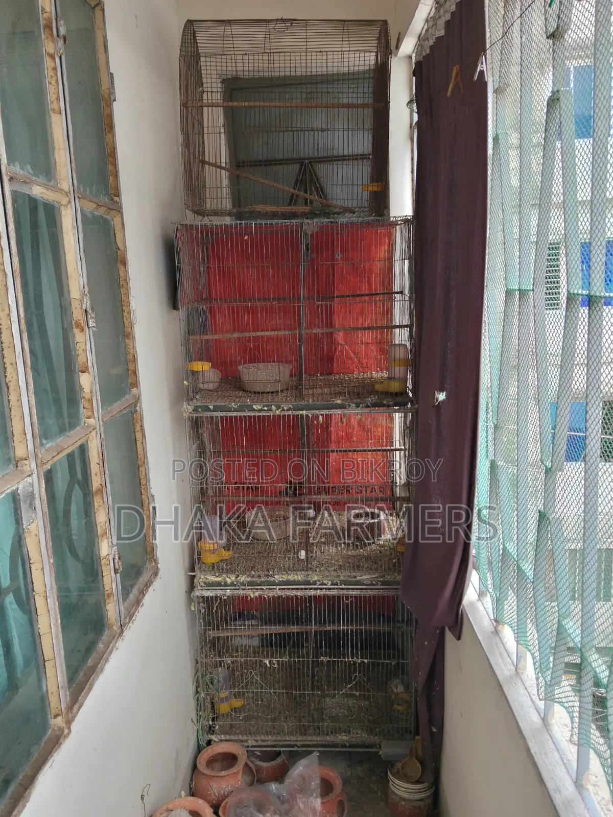 Used Bird Cage