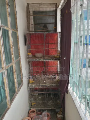 Used Bird Cage