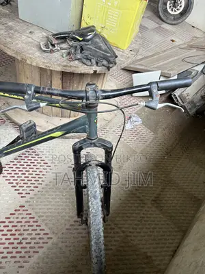 Cycle With Suspension