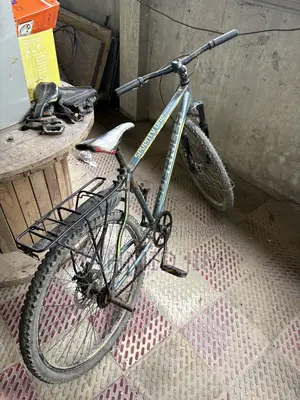 Cycle With Suspension