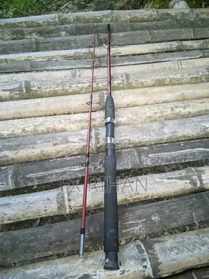 Tica Tz 3550 And Fishing Hook Rod