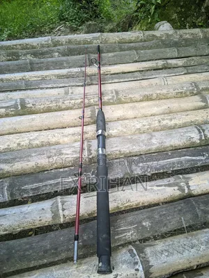 Tica Tz 3550 And Fishing Hook Rod