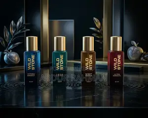 Wild Stone Perfume 4 In 1 Set