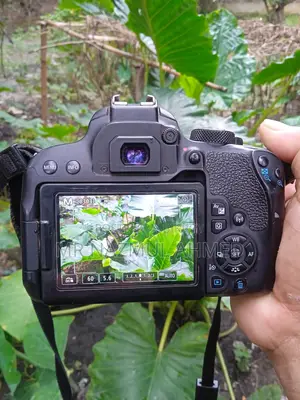 Canon 800d Body Sell With Box