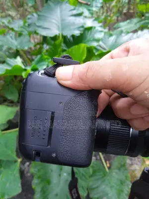 Canon 800d Body Sell With Box