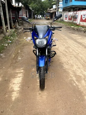 Bajaj Pulsar 150 2019 Blue