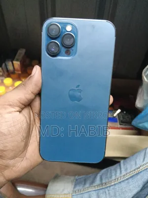 Apple iPhone 12 Pro Max 256 GB Blue