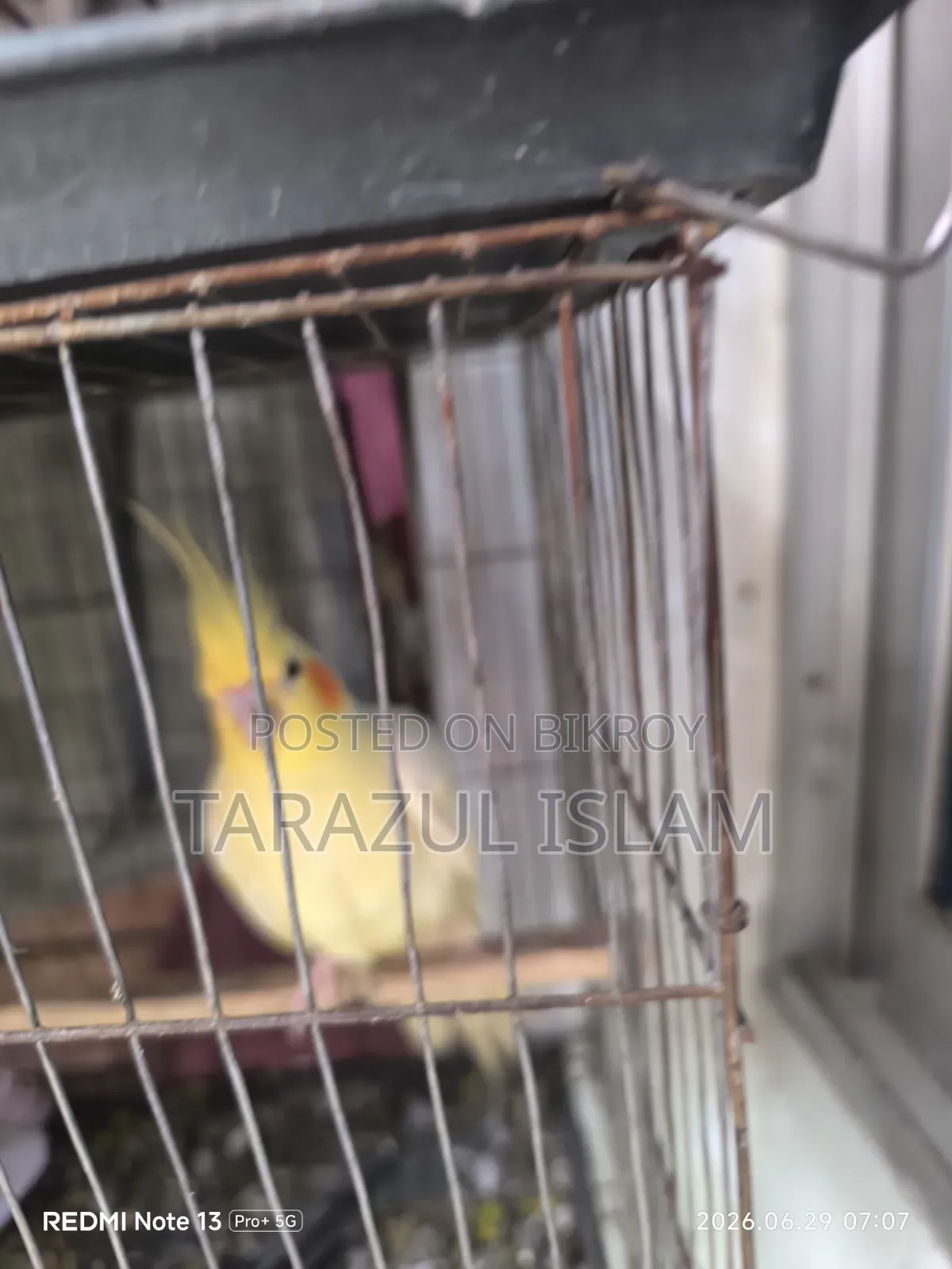 ককাটেল বিক্রি