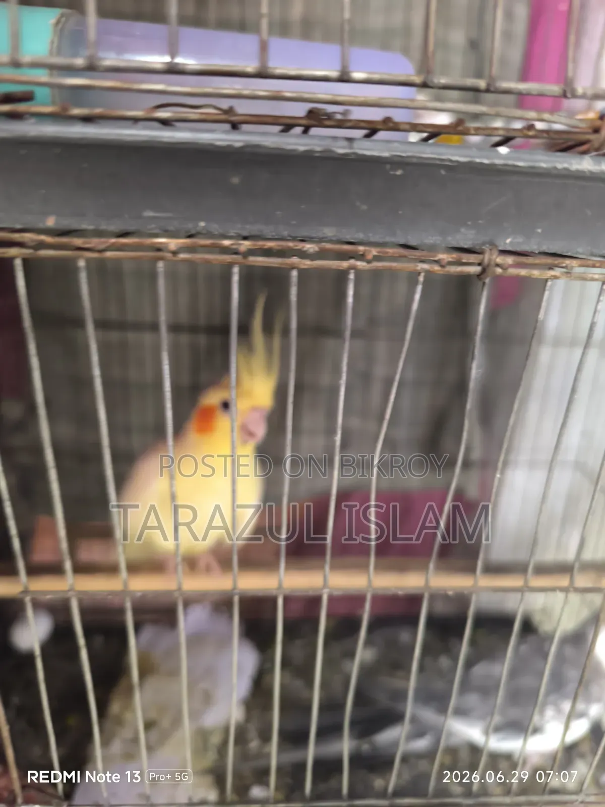 ককাটেল বিক্রি