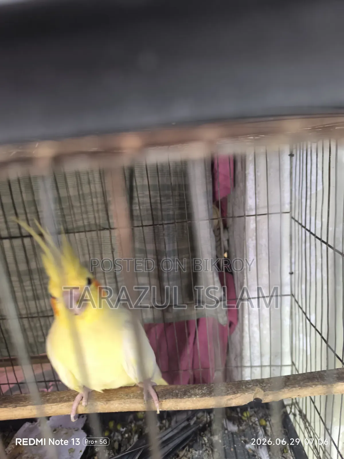 ককাটেল বিক্রি