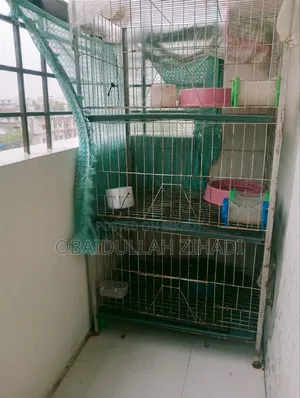 An iron bird cage for sale.