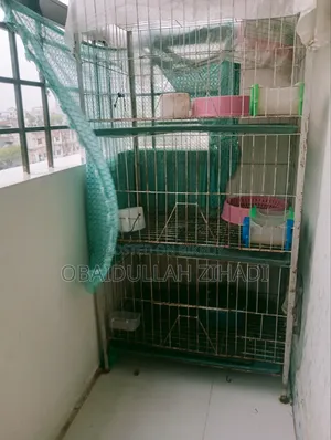 An iron bird cage for sale.
