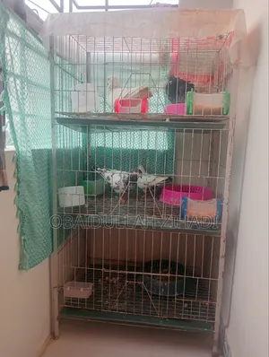 An iron bird cage for sale.