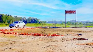 ঢাকা-মাওয়া এক্সপ্রেসওয়ের পাশে আধুনিক আবাসন প্রকল্প — Square City