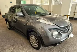 Nissan Juke 2014 Gray