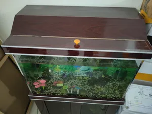 Office Table With 3 Chairs and Aquarium
