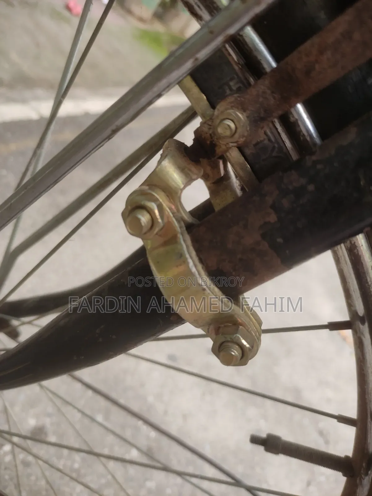 Phoenix Classic Cycle