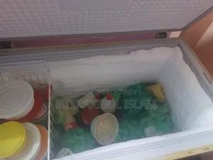 Singer 215 Liter Deep Freezer