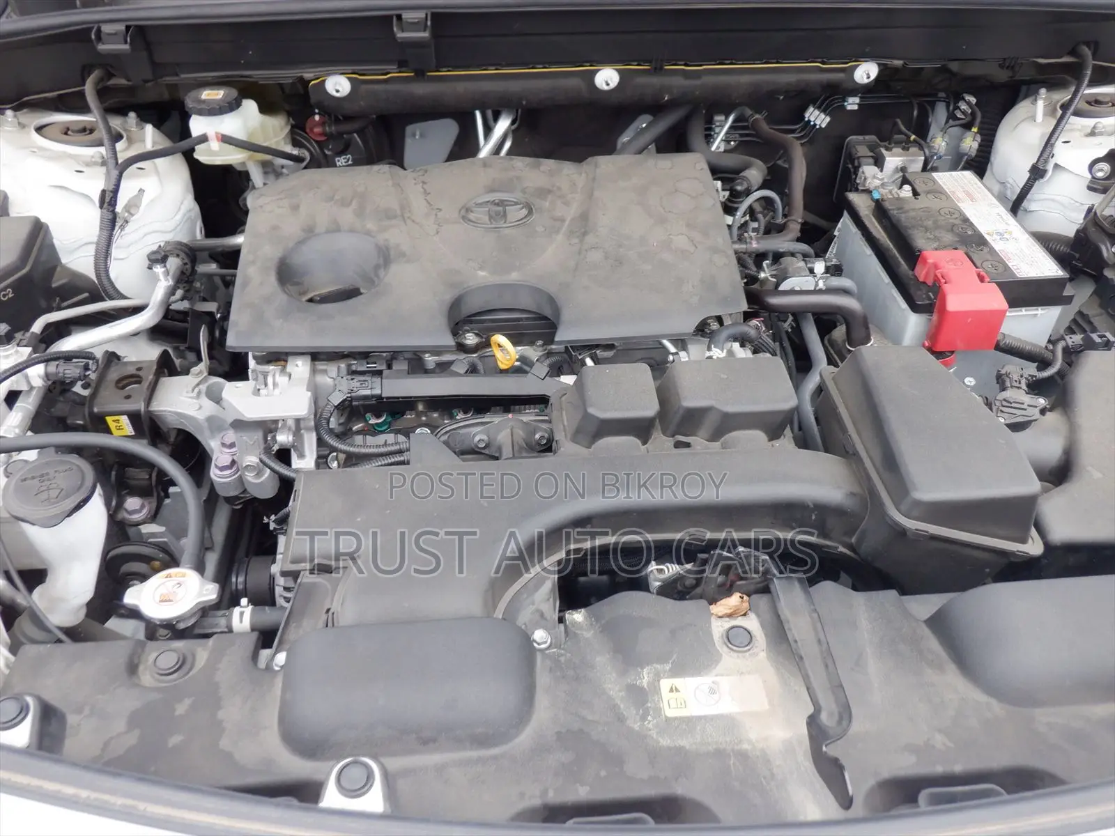 Toyota Harrier 2.0 2021 Pearl