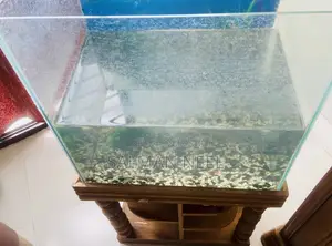 Aquarium Full Setup