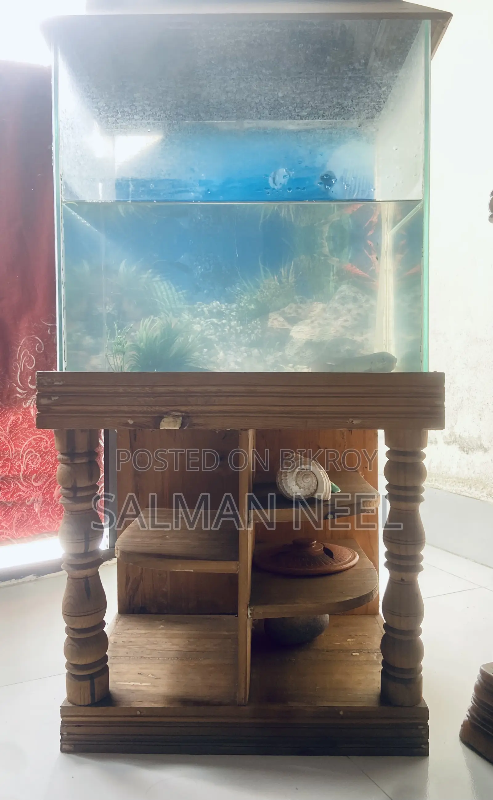 Aquarium Full Setup