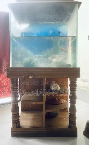 Aquarium Full Setup