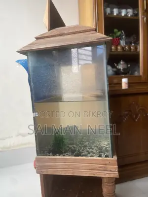 Aquarium Full Setup