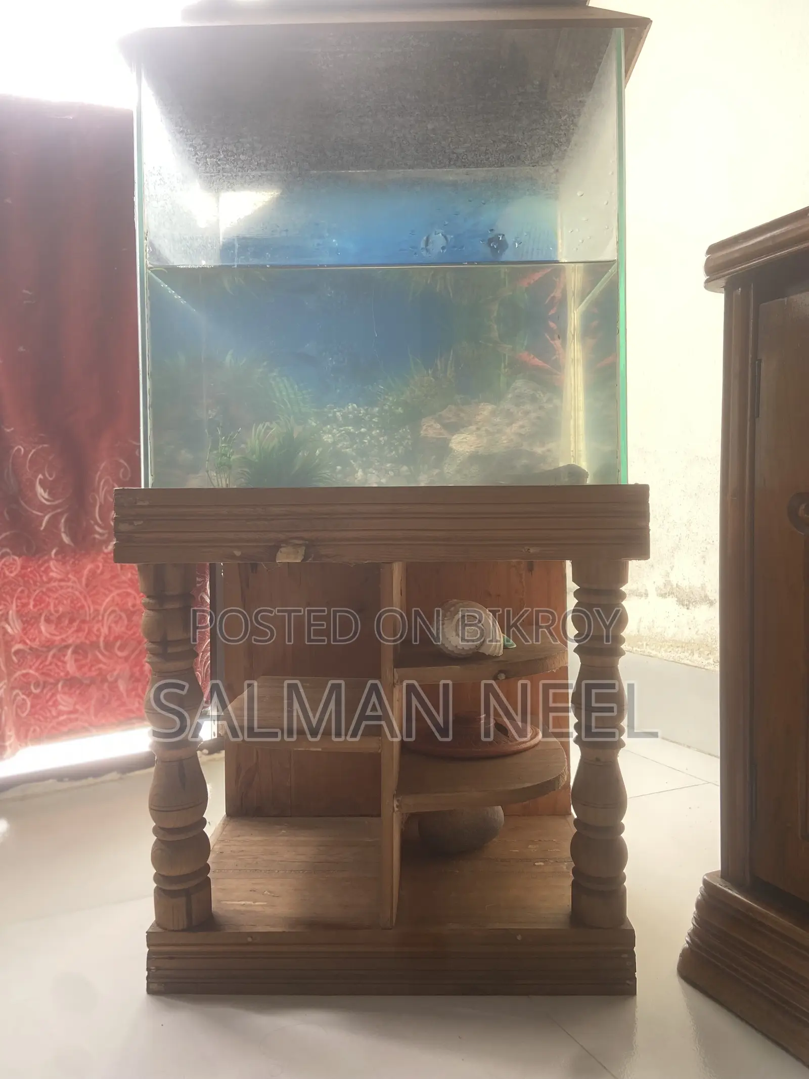 Aquarium Full Setup