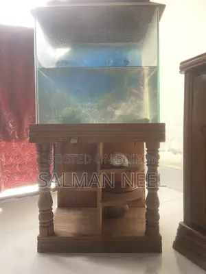 Aquarium Full Setup