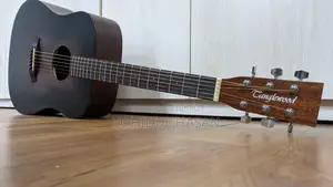 Tanglewood TWCR D অ্যাকোস্টিক গিটার