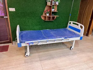 2 Function Hospital Bed