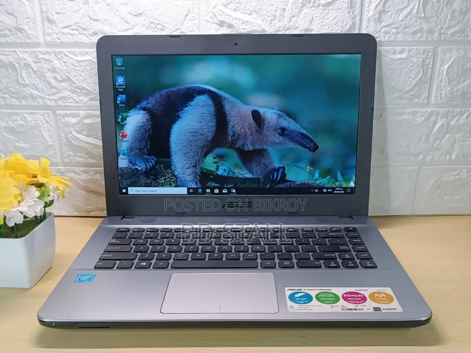 Laptop Asus Vivobook 14 4GB Intel Celeron HDD 500GB