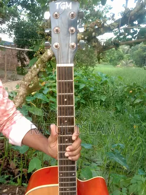 গিটার বিক্রি