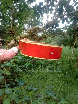 গিটার বিক্রি