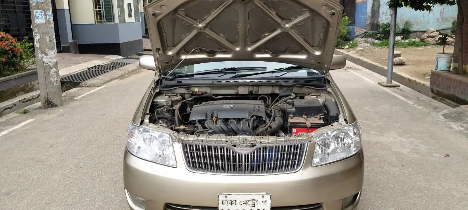 টয়োটা করোলা ২০০৪ গোল্ড