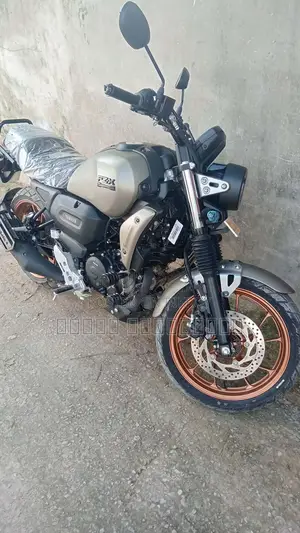New Yamaha FZ 2025 Gray