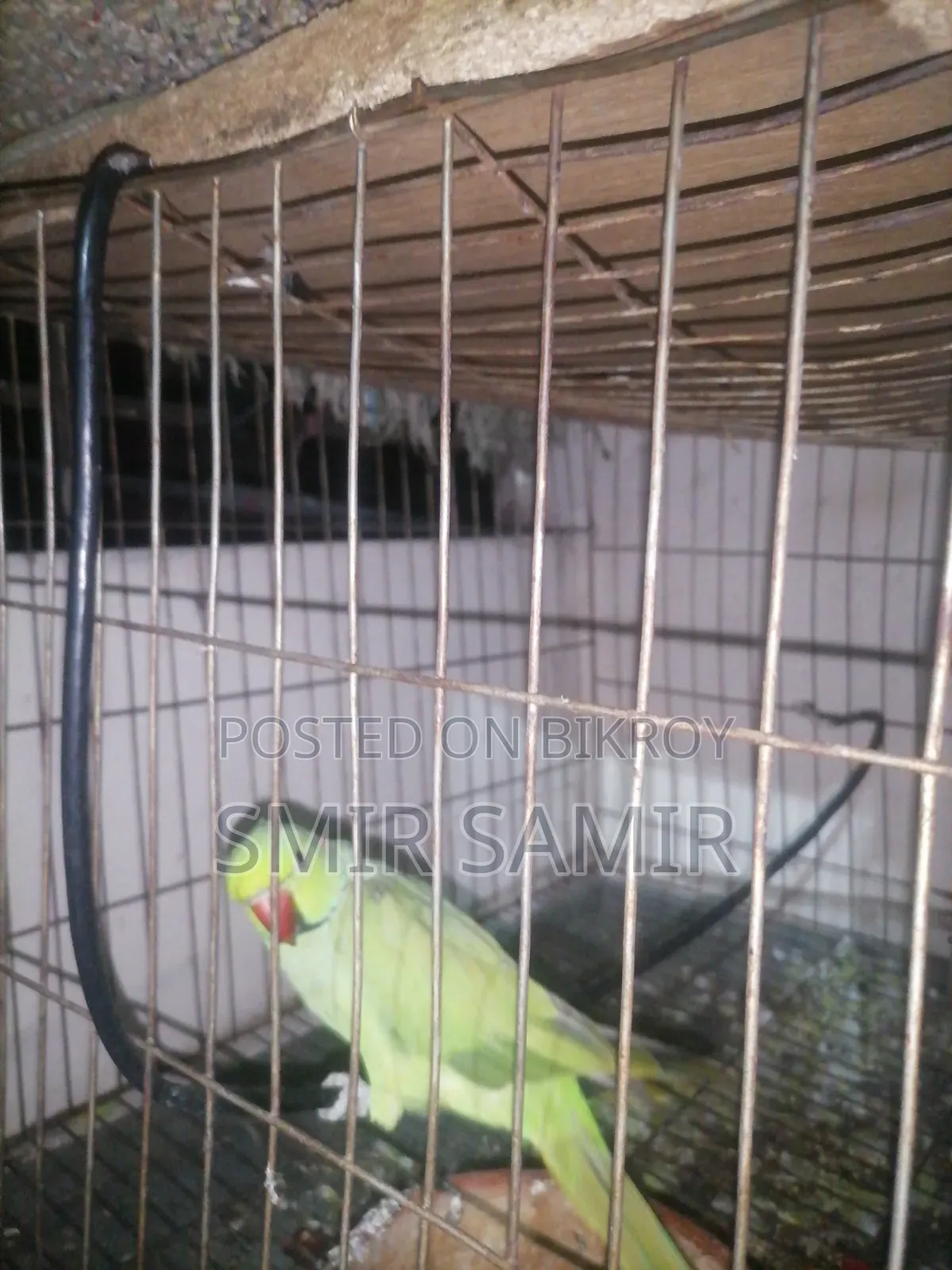 Paki Tiya Pakir Name Kaka