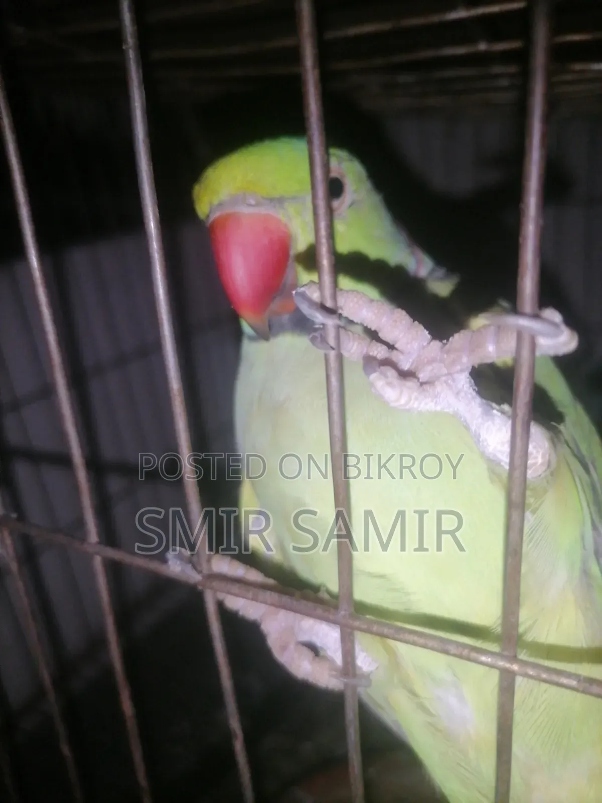 Paki Tiya Pakir Name Kaka