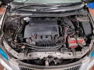 Toyota Axio 2010 Silver