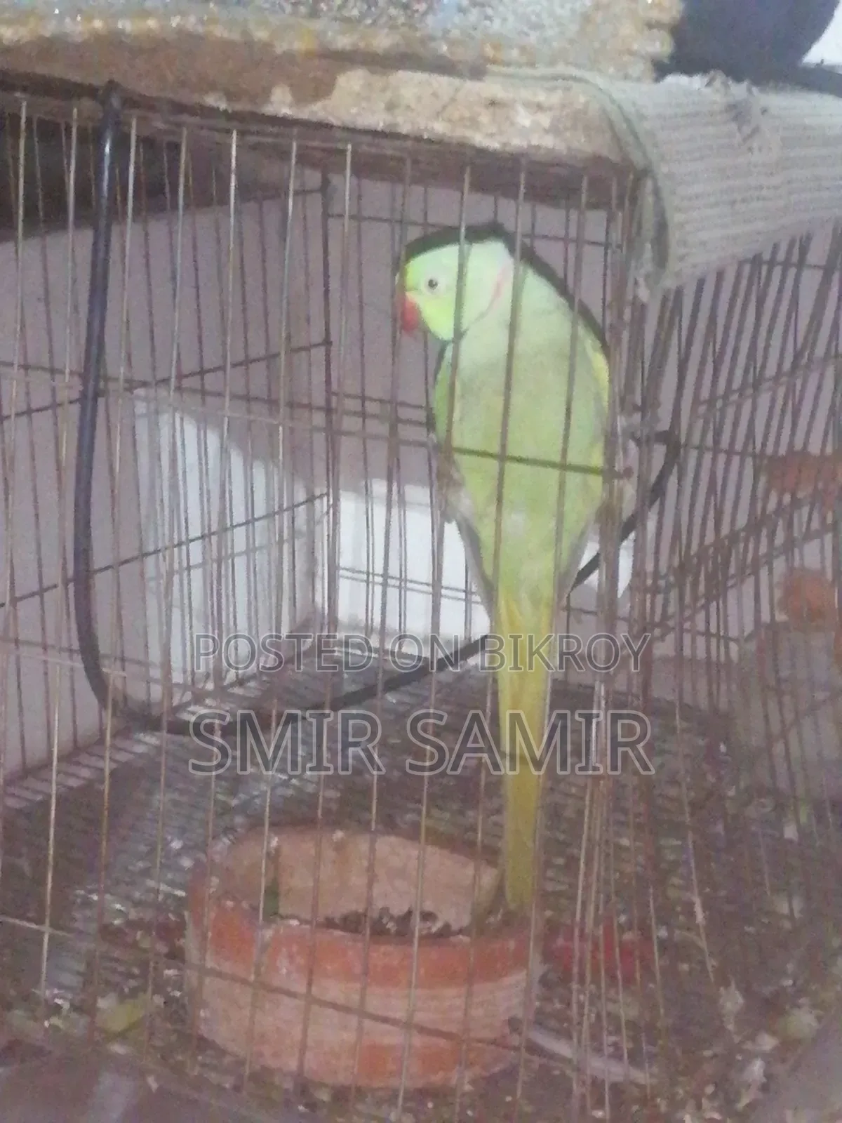 Paki Tiya Pakir Name Kaka