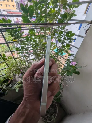 অ্যাপল আইফোন ১২ ১২৮ জিবি গ্রিন