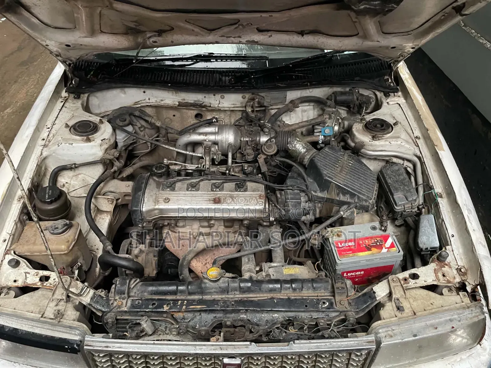 Toyota Corolla 1998 White